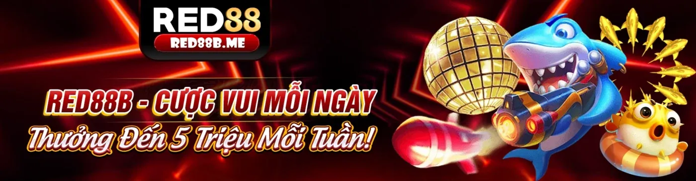 Hình ảnh đá gà trực tuyến tại B888 Nhà Cái